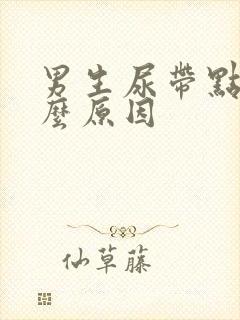 男生尿带点血什么原因