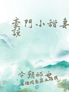 豪门小甜妻 小说