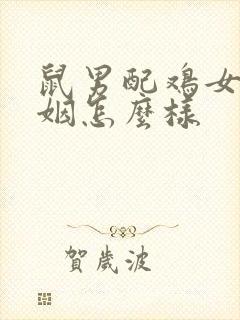 鼠男配鸡女的婚姻怎么样