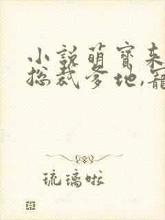 小说萌宝来袭:总裁爹地,宠上天