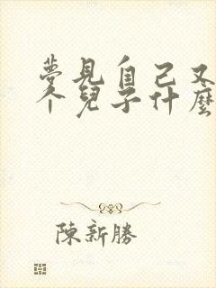 梦见自己又有一个儿子什么预兆