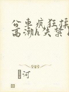 公车疯狂揉肉蒂高潮h失禁日本剧