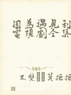 因为遇见利先生电视剧全集