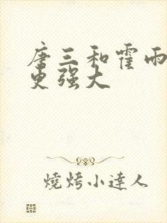 唐三和霍雨浩谁更强大