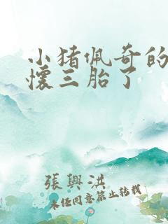 小猪佩奇的妈妈怀三胎了