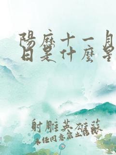 阳历十一月十一日是什么星座