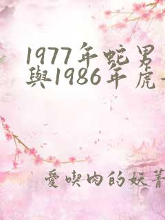 1977年蛇男与1986年虎女配吗