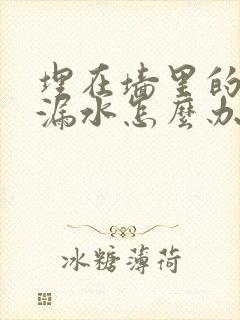 埋在墙里的水管漏水怎么办