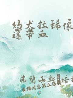 幼犬拉稀像粘液还带血