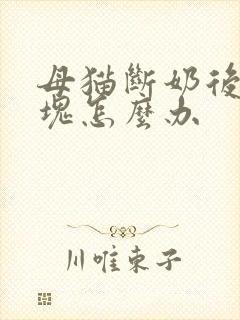 母猫断奶后有硬块怎么办