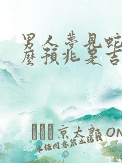 男人梦见蛇是什么预兆是吉还是凶