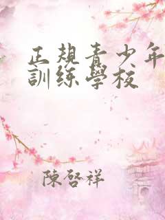 正规青少年叛逆训练学校