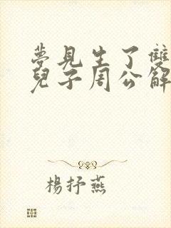 梦见生了双胞胎儿子周公解梦