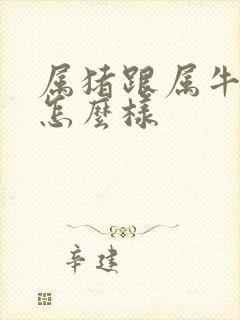 属猪跟属牛姻缘怎么样