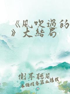 《风吹过的夏天》大结局