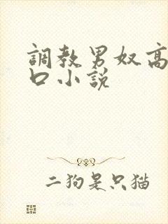 调教男奴高h重口小说