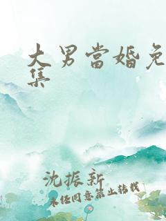 大男当婚免费全集