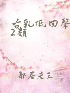 右乳低回声结节2类