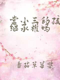 当小三的孩子有继承权吗