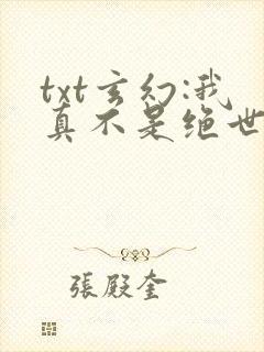 txt玄幻:我真不是绝世高人下载