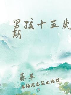 男孩十五岁叛逆期