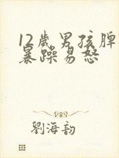 12岁男孩脾气暴躁易怒