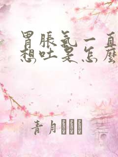 胃胀气一直打嗝想吐是怎么回事怎么办