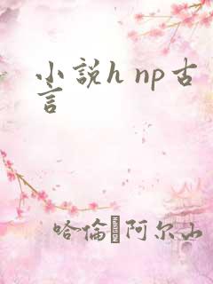 小说h np古言