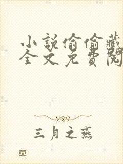 小说偷偷藏不住全文免费阅读全文