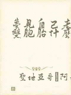 梦见自己老婆生双胞胎什么预兆