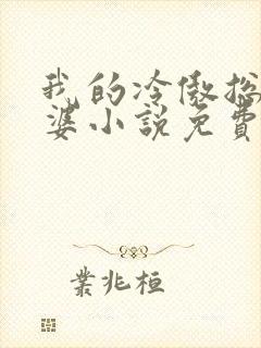 我的冷傲总裁老婆小说免费阅读