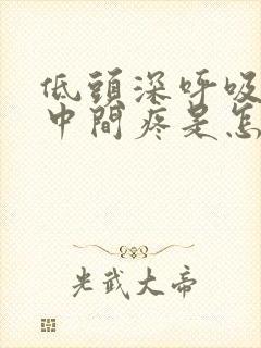 低头深呼吸胸口中间疼是怎么回事