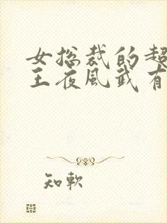 女总裁的超级兵王夜风武有几个女人