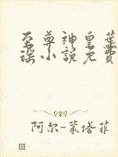 至尊神皇叶尘池瑶小说免费阅读