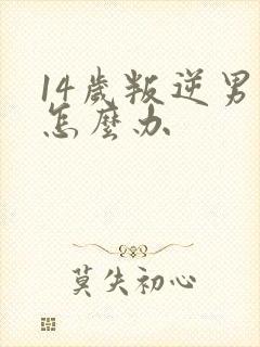 14岁叛逆男孩怎么办