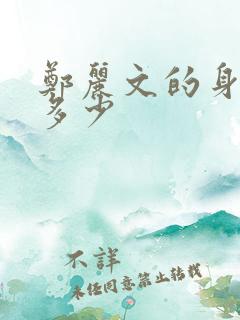 郑丽文的身高是多少