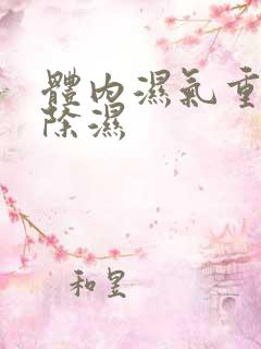 体内湿气重快速除湿