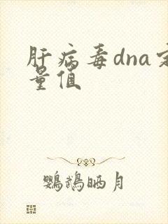 肝病毒dna定量值