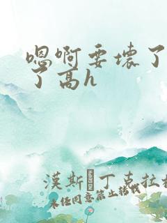 嗯啊要坏了不要了高h