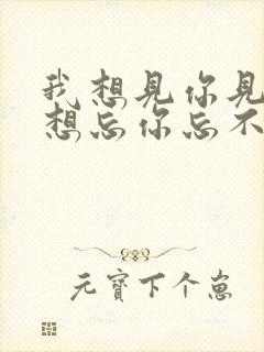 我想见你见不到想忘你忘不了是什么歌