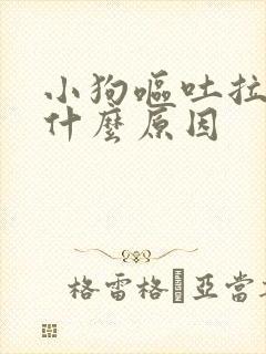 小狗呕吐拉稀是什么原因