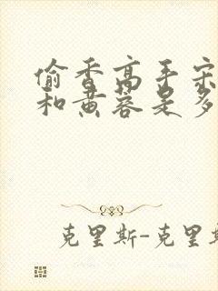 偷香高手宋青书和黄蓉是多少集