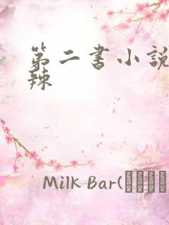 第二书小说包网辣