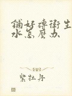 铺好砖卫生间漏水怎么办