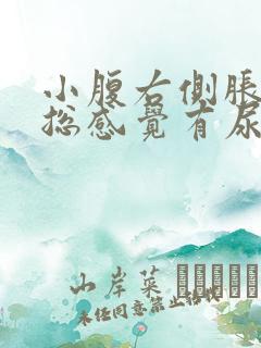 小腹右侧胀痛,总感觉有尿