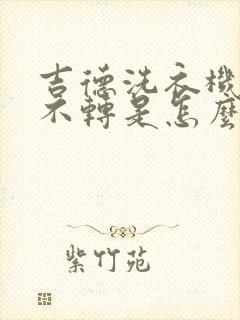 吉德洗衣机波轮不转是怎么回事