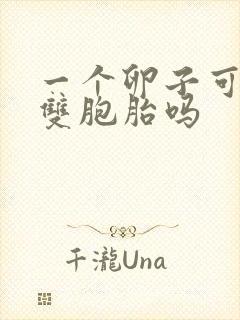 一个卵子可以怀双胞胎吗