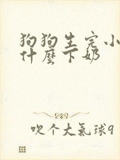 狗狗生完小狗吃什么下奶