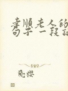 孝顺老人的经典句子 一段话