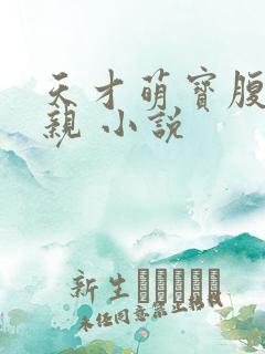 天才萌宝腹黑娘亲 小说